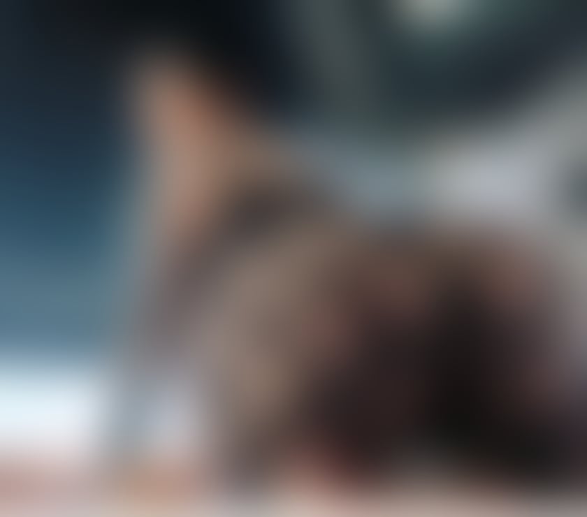 Escorts Hertfordshire St. Albans - Photos for NEW İN TOWN! CALL ME Sexy PRİNCESS♥️🥰