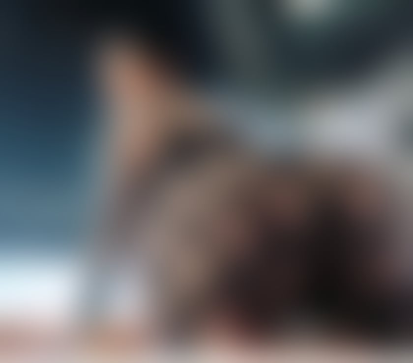 Escorts East Sussex Brighton - Photos for SEXY 🥰BRUNETTE AVAILABLE IN TOWN🔥