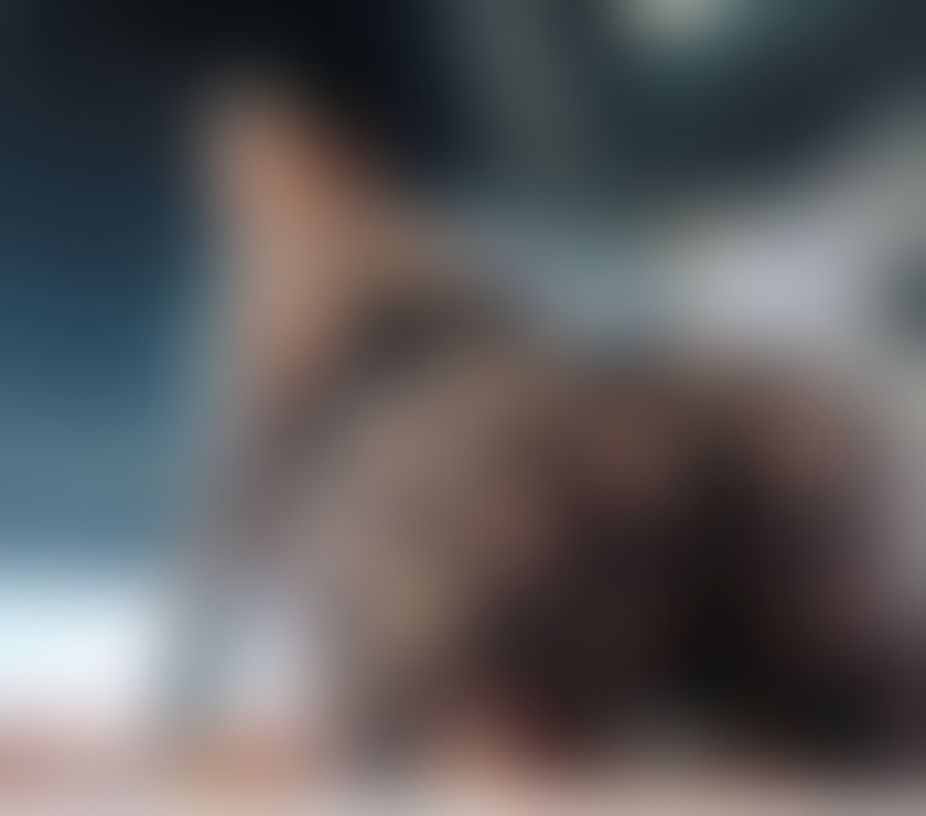 Escorts East London Redbridge - Photos for Vanessa🥰PARTY🥂REAL♥️🔥BEST SERVICES🥰NO RUSH