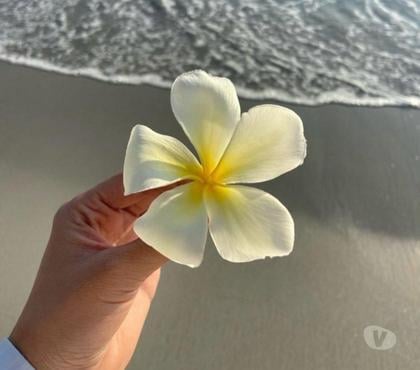 Full body massage Leytonstone East London - Photos for Anna Thai massage