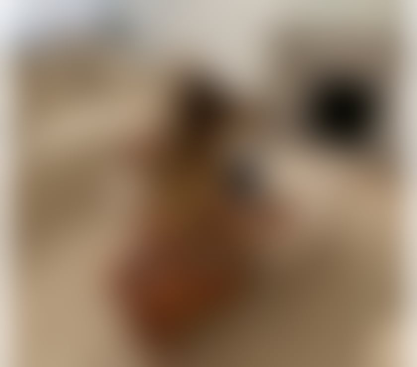 Escorts Merseyside Liverpool - Photos for 🌸Amyra 🌸best service🌸