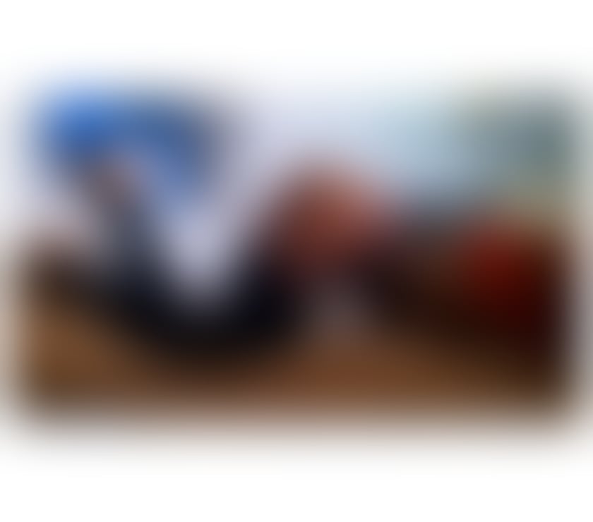 Trans Belfast City Centre (South) Belfast - Photos for 07498586489 HOT BLACK Transsexual Keisha.[TV]