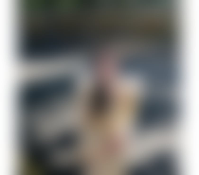 Escorts Chelmsford City Centre Chelmsford - Photos for 💖new💖party💦escort💋22yrs💋Chelmsford