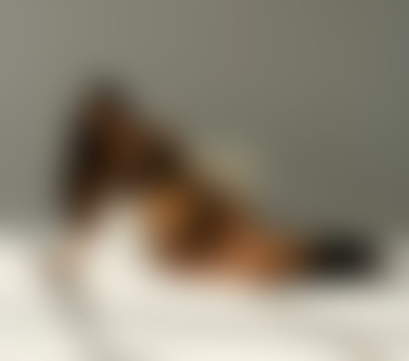 Photos for BRASIL💖🔥 YOUR BEST COMPANY ALL NATURAL 😈🔛