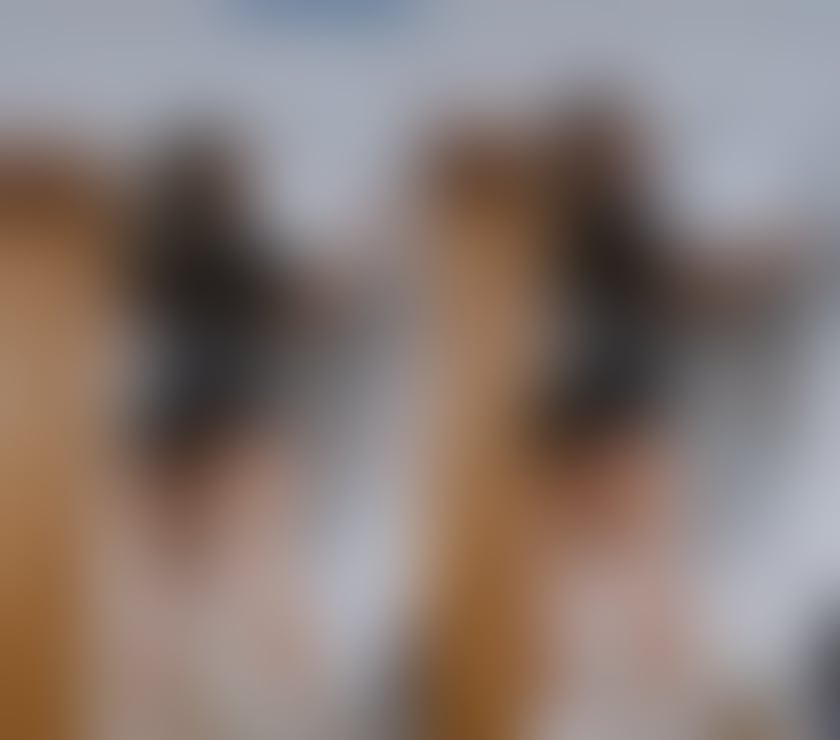 Escorts Kent Tonbridge and Malling - Photos for 🎊🍾😘SOPHIA PARTY GIRL😘🍾🎉