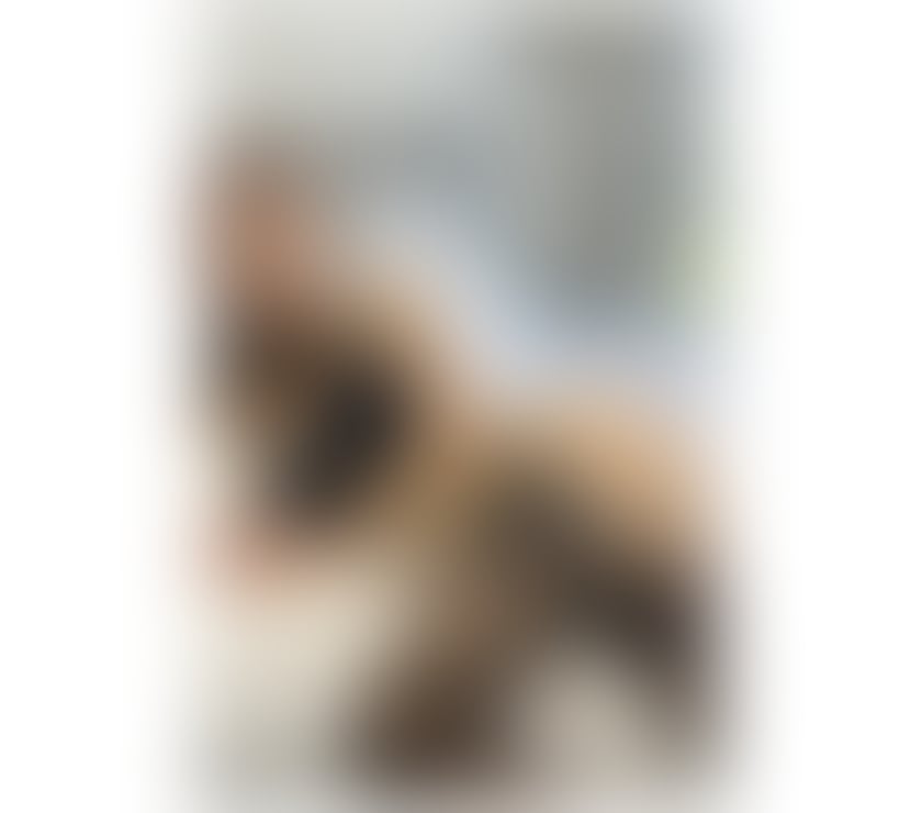 Escorts Denbighshire - Wales Rhyl - Denbighshire - Photos for Maria, slim blonde girl, real pics def! Best services 🍓