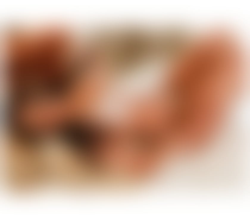 Escorts Worcestershire Worcester - Photos for Karinna sexy Brasileira 🇧🇷🔥👄