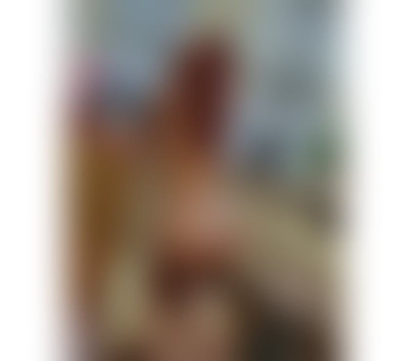 Escorts Northampton West Northamptonshire - Photos for ❤️ Roxy ❤️Reale 💯 Pics !!!