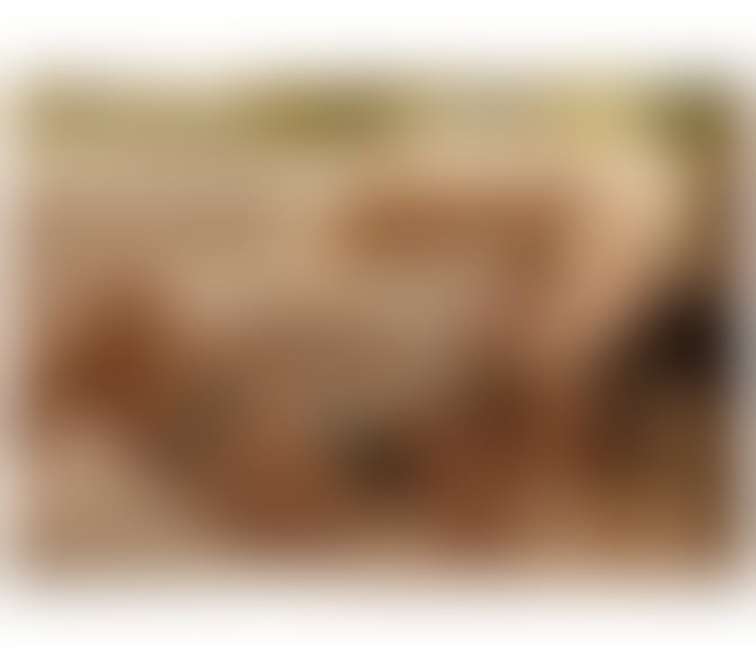 Escorts North London Edmonton - North London - Photos for ❤️YOUR FAVOURITE GIRL * AMAZING SERVICE * ❤️