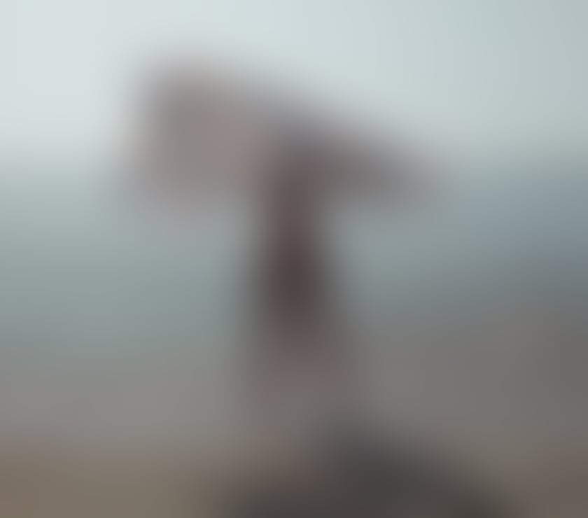 Trans Escorts North London Islington - North London - Photos for AshelyMarbella#1