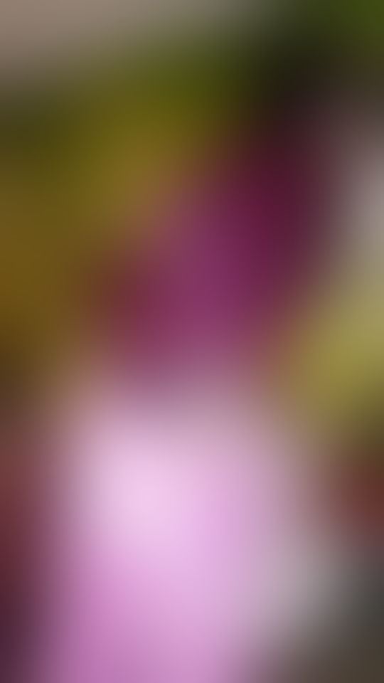 Trans Escorts Lancashire Blackburn with Darwen - 