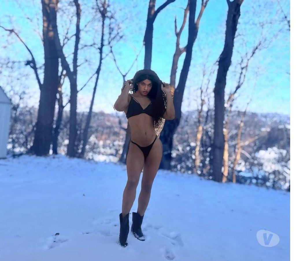 Trans Escorts North London Southgate - North London - Photos for Letícia dhelly XL