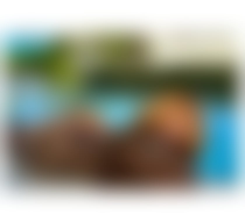 Escorts Essex Basildon - Photos for MISS CHOCOLATE🍫+A-LEVELS QUEEN🔥❤️‍🔥