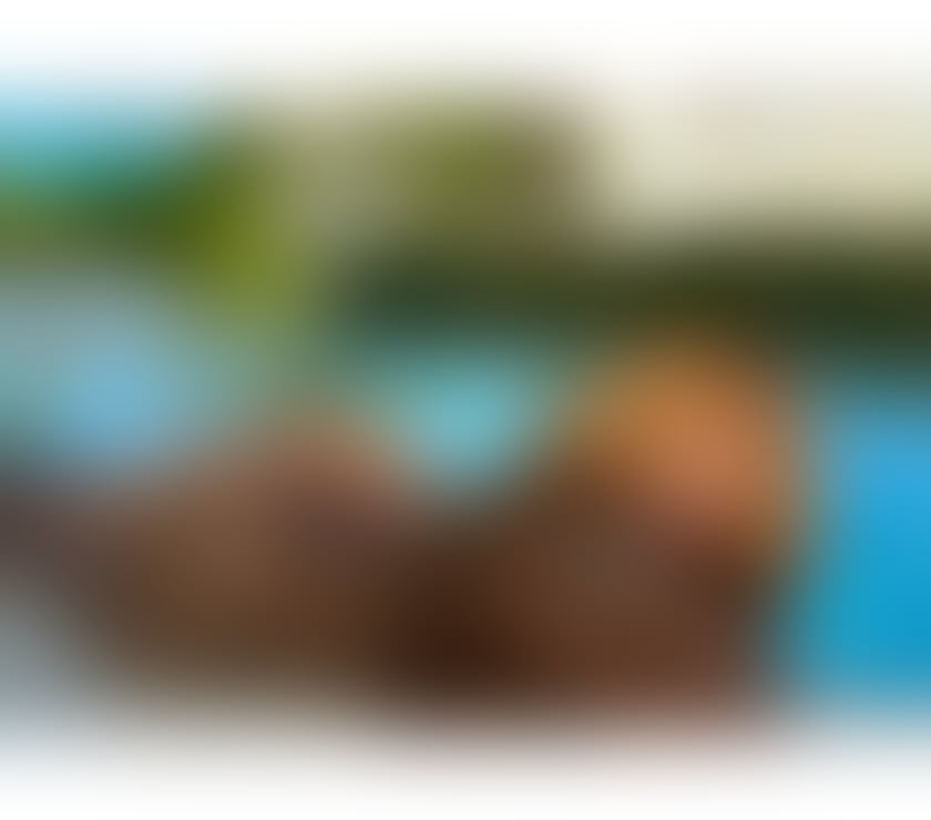 Escorts South East London Deptford - South East London - Photos for SEXY EBONY💦❤️‍🔥OWO&A-LEVELS QUEEN❤️