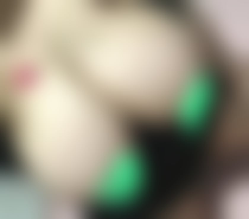 Escort Birmingham City Centre Birmingham - Photos for malaysian girl in edgbaston B5 7