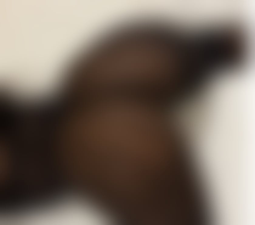 Escorts Barking and Dagenham Romford - Barking and Dagenham - Photos for Hot elegant sexy black girl with a big bum