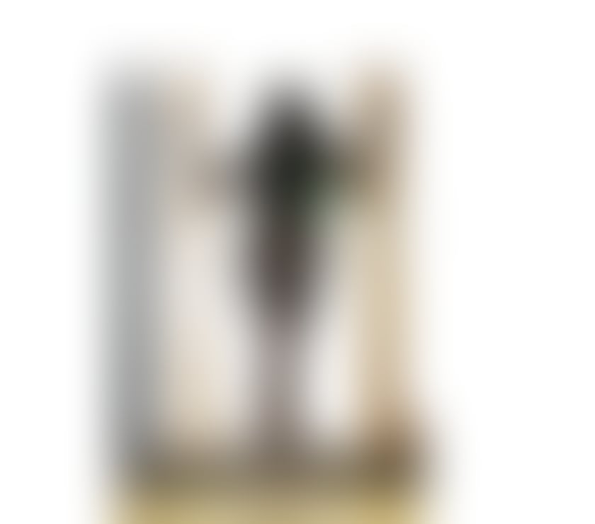 Escorts Glasgow Glasgow City Centre - Glasgow - Photos for Leggy Ashanti Jones