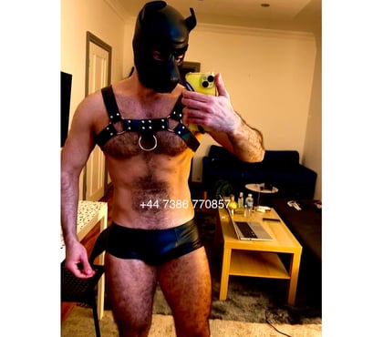 Photos for Leafar_100%Top XL