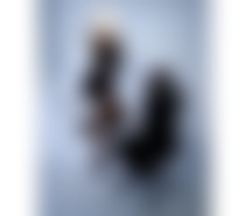 Escorts Gloucestershire Cheltenham - Photos for Lea ❤️outcall only❤️