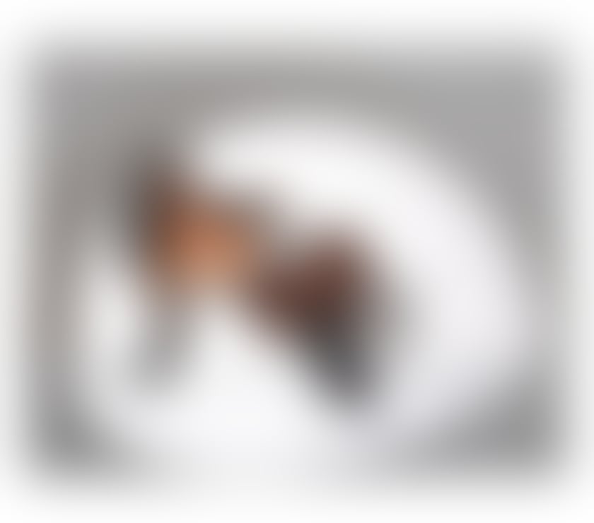 Trans Escorts Edinburgh Edinburgh Old Town - Edinburgh - Photos for lindo trans, real