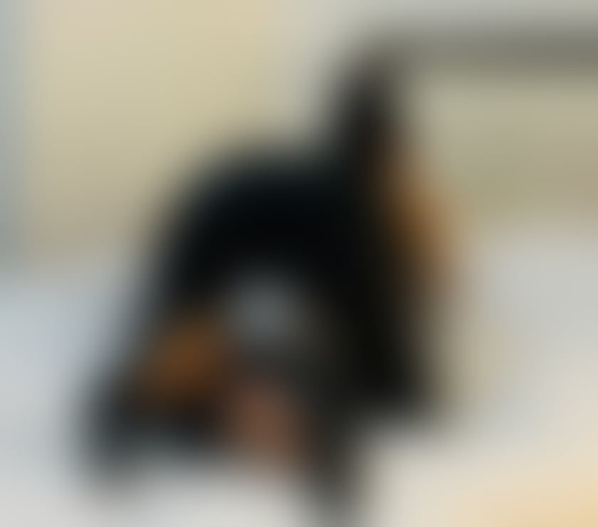 Escorts Earls Court South West London - Photos for 💥 Naughty❤️party💥 GFE🍒100%Real Pic ✅