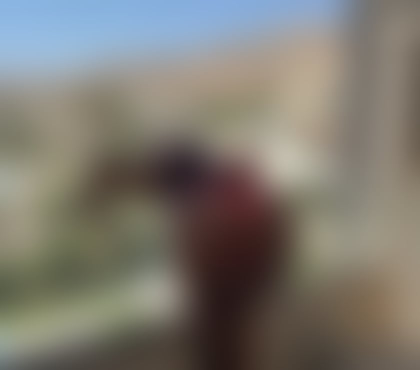 Escorts West Midlands Sandwell - Photos for hot red head looking for fun