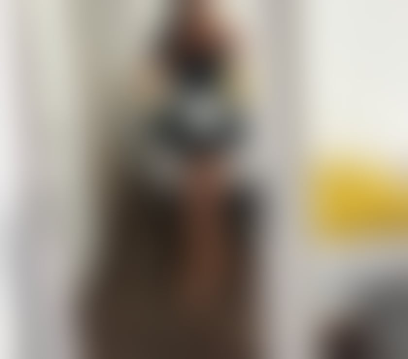 Escorts Norfolk Norwich - Photos for Selena ✅Stunning Busty Brunette❤️Real Pics 💯💋