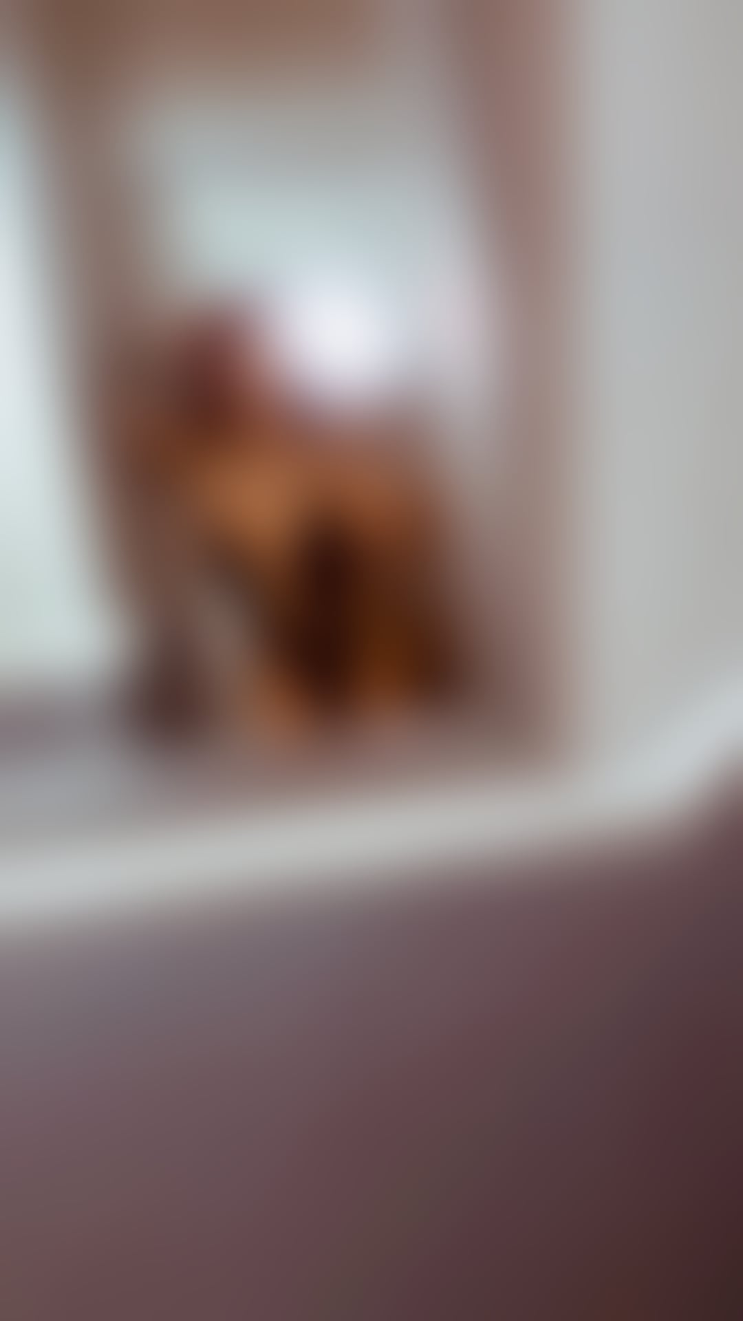 Escorts North London South Tottenham - North London - 