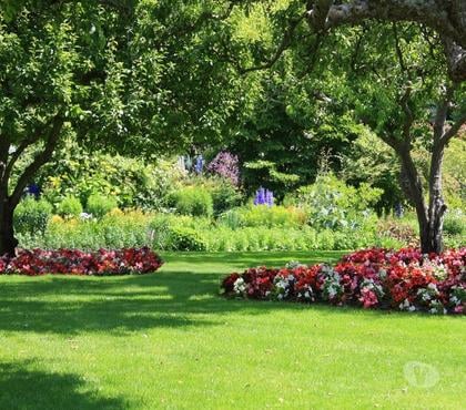 Handyman Aberdulais Neath Port Talbot - Wales - Photos for Neath Valley Gardening Services - Gardeners in Neath