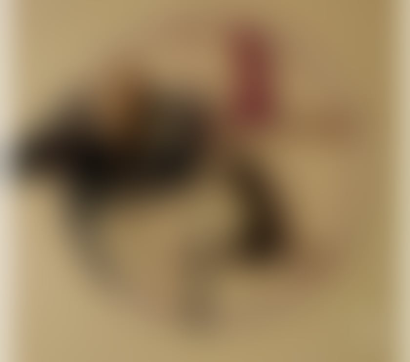 Escorts Suffolk Ipswich - Photos for ☘️ MASSAGE LILLY +44 7432 327299🍀