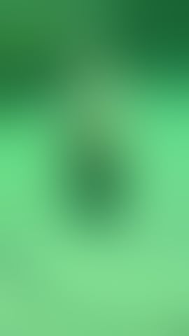 Escorts Essex Southend-on-Sea - 