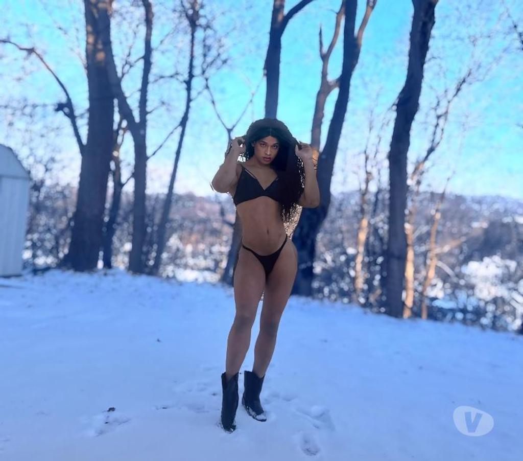 Trans Escorts Hertfordshire Watford - Photos for Letícia dhelly XXL 🇧🇷