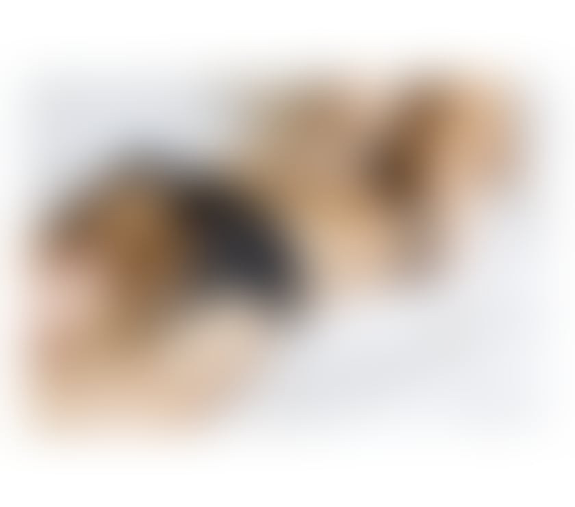 Escorts West London Hounslow - Photos for KARINA 100% REAL Hot Brazilian 🥵🇧🇷