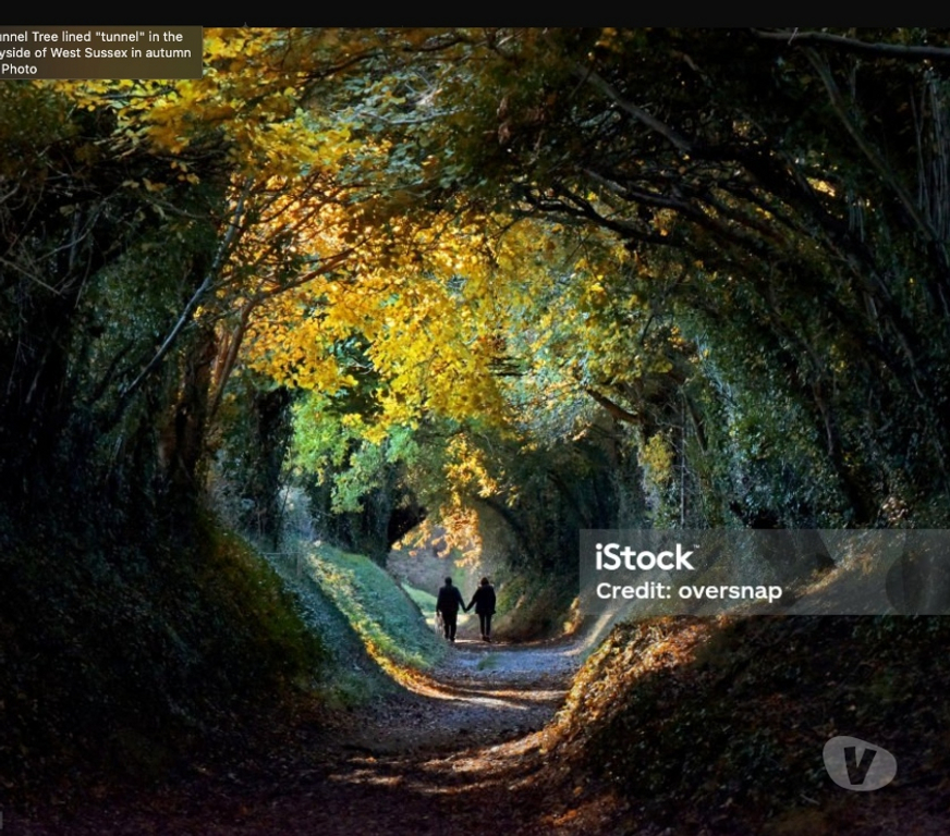 picture frames Norfolk North Norfolk - Photos for This ad was posted by the Vivastreet QA Team