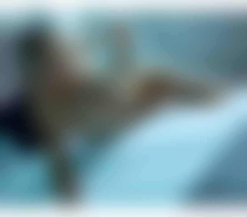 Escorts West London Hillingdon - Photos for Hot Wet Suzie NEW