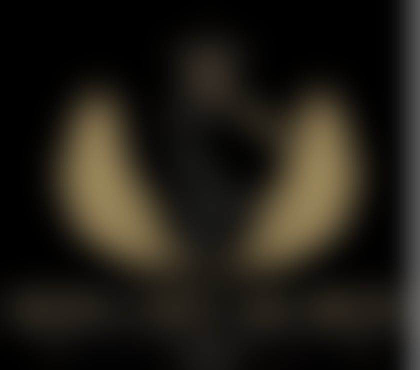 Escorts Ardsley Barnsley - Photos for BRAND NEW escort agency