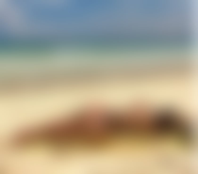 Escorts Edinburgh Edinburgh - Edinburgh - Photos for LARISSA PARTY GIRL🎉 NO FAKE🔥FULL SERVICES ❤️