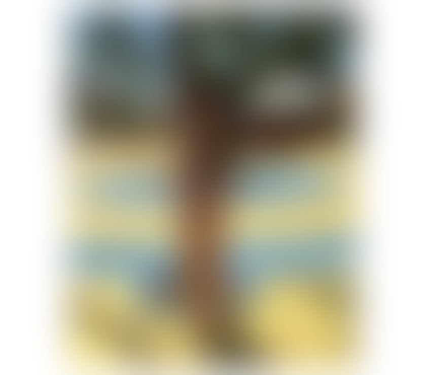 Escorts Edinburgh Edinburgh - Edinburgh - Photos for LARISSA PARTY GIRL🎉 NO FAKE🔥FULL SERVICES ❤️