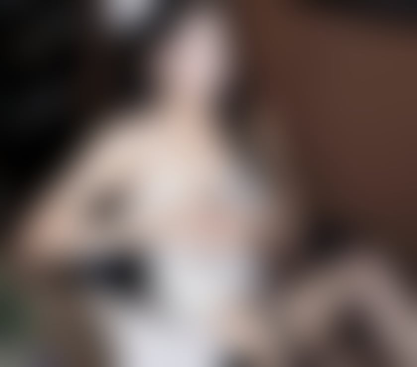 Escorts Bromley Common South East London - Photos for PERFECT❣️ASIAN ESCORTS❣️