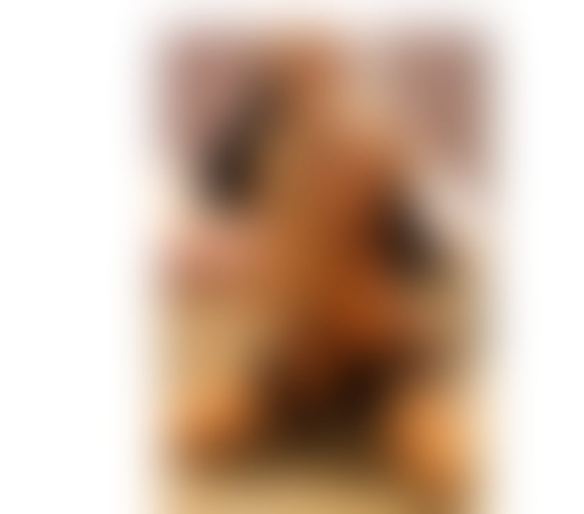 Escorts Merseyside Liverpool - Photos for ESCORT SERVICES 💋 party girl 💋