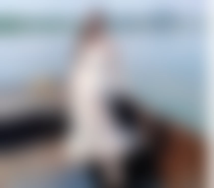 Escorts York City Centre York - Photos for 🆕️DUO 2 ASIAN PARTY GIRL👅GFE FULL SERVICE🔥1 week