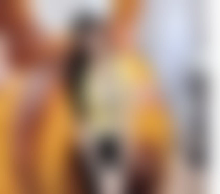 Escorts York City Centre York - Photos for GENUINE PICS ❤️LOVE TO PARTY