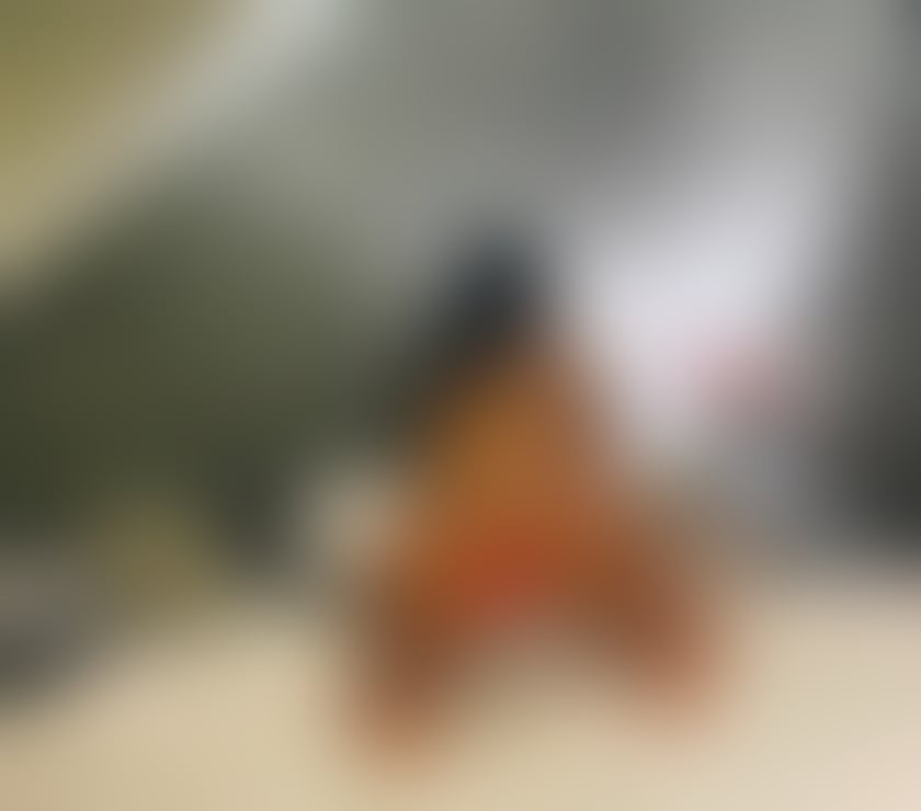 Escorts West Midlands Coventry - Photos for Darya Party girl💧 in your city 🌃 💯pictures real