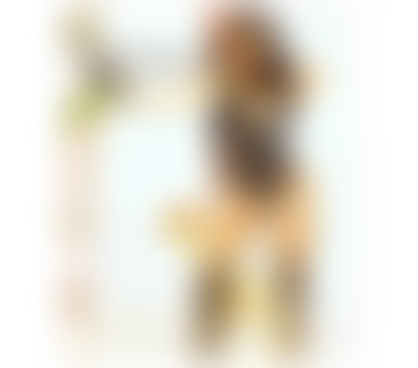 Trans Escorts West London Kilburn Park Station - West London - Photos for 🦋🦋 MONALISA Butterfly Nights