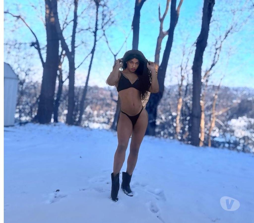 Trans Escorts Essex Southend-on-Sea - Photos for Leticia Dhelly XXL