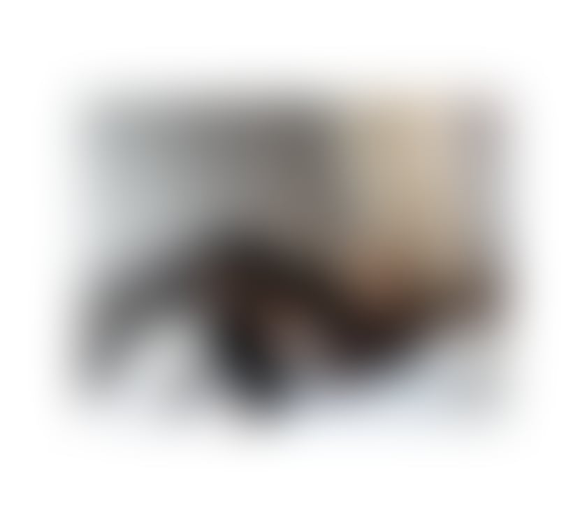 Escorts South Lanarkshire Hamilton - South Lanarkshire - Photos for New in Town Latina outcall only