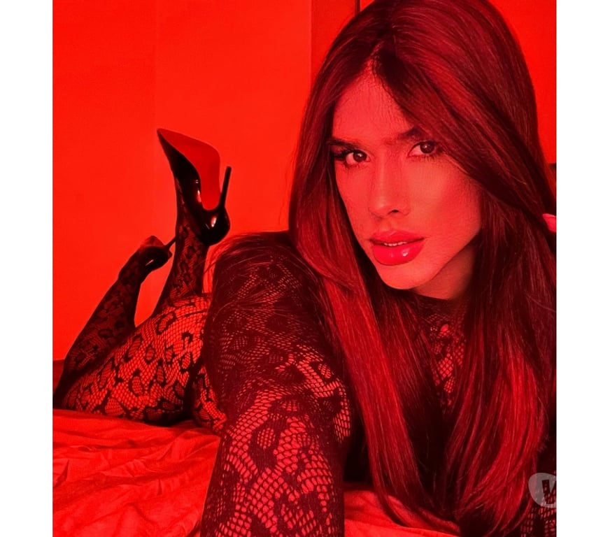 Trans Escorts Central London Soho - Central London - Photos for Lilly XXL - Latina