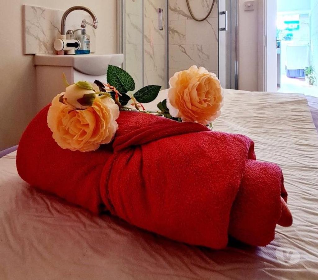 Escorts North London Holloway Road Station - North London - Photos for chinese massage