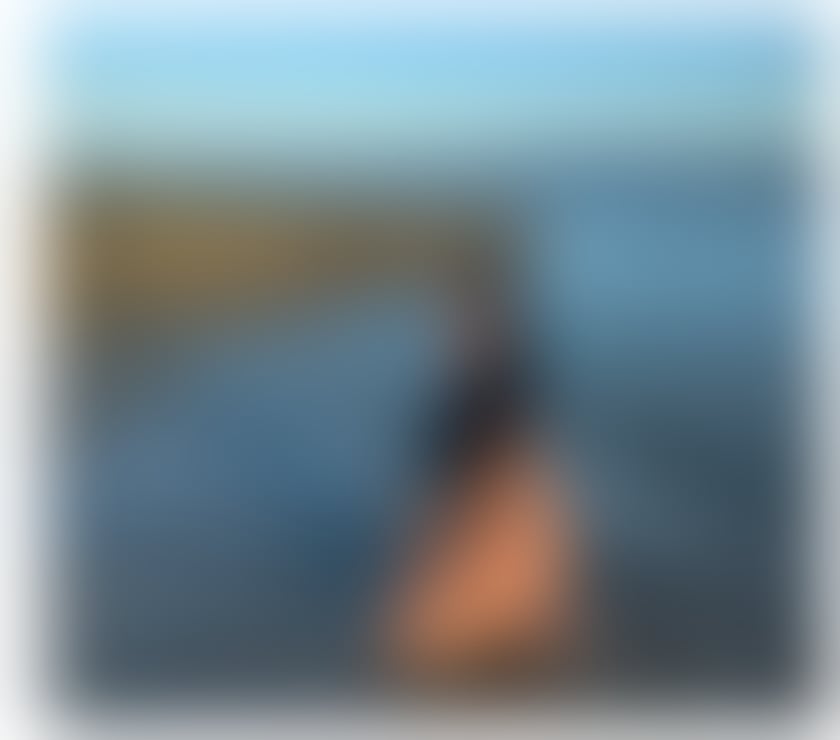  Escorts Margate Thanet - Photos for 🔥DUDA Party 🇧🇷💃🍾🔥