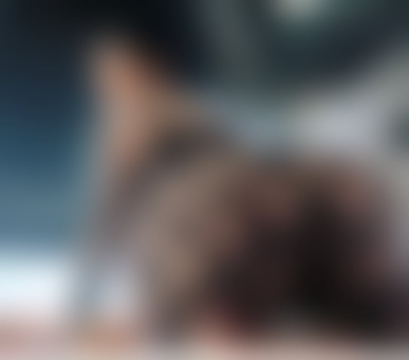 Escorts Hertfordshire Stevenage - Photos for 🧨Ruby New Here💯REAL💎Party girl💎☎️💕